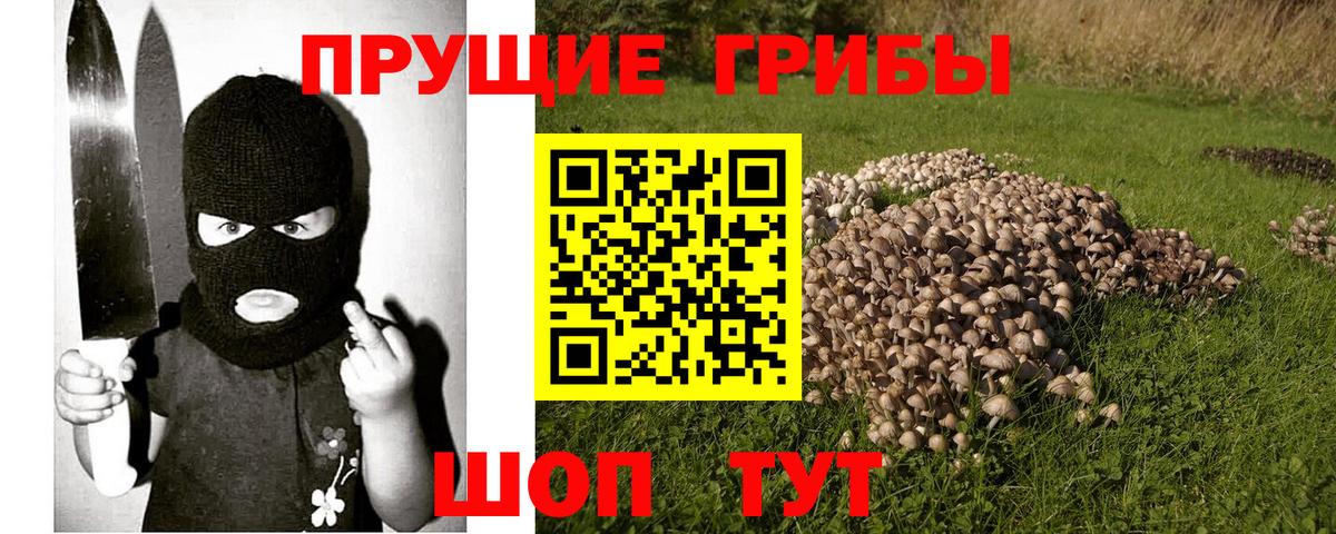 хочу   Псилоцибиновые грибы Magic Shrooms  Вход с VPN  Псилоцибиновые грибы мицелий  Саров 