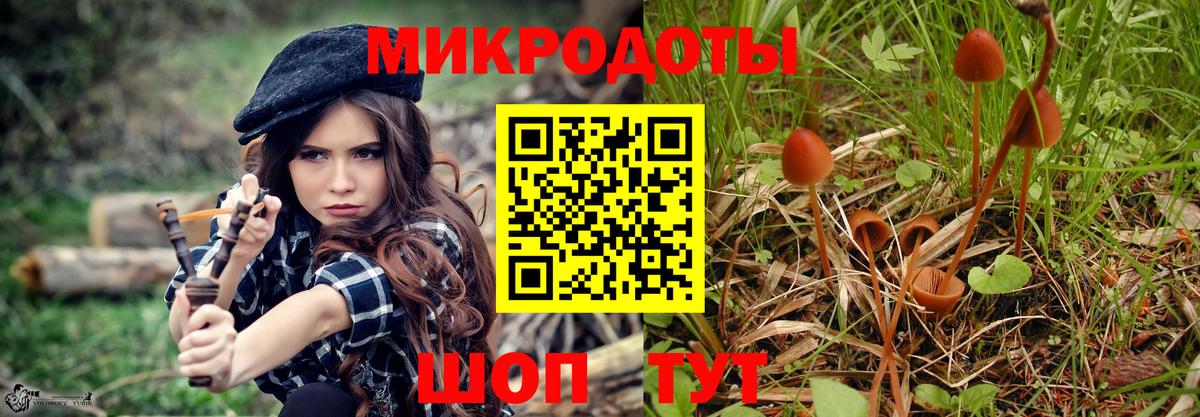 Галлюциногенные грибы Psilocybine cubensis Саров